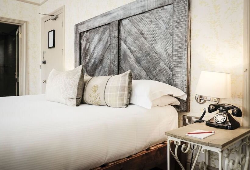 호스텔 The White Buck