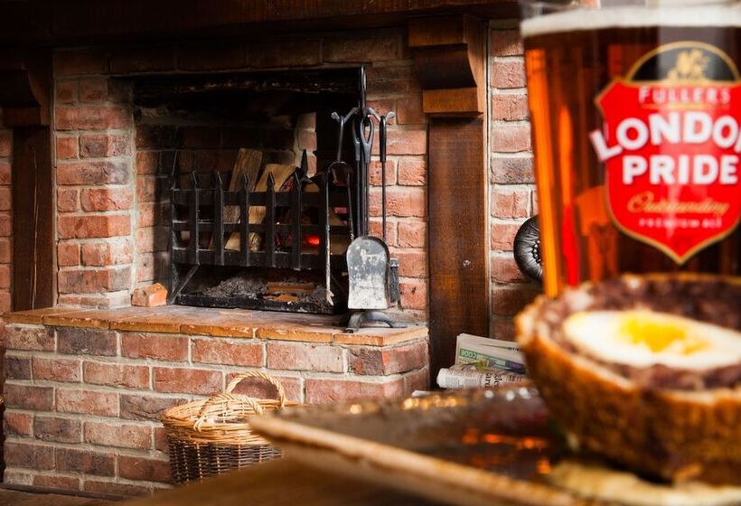 호스텔 The White Buck