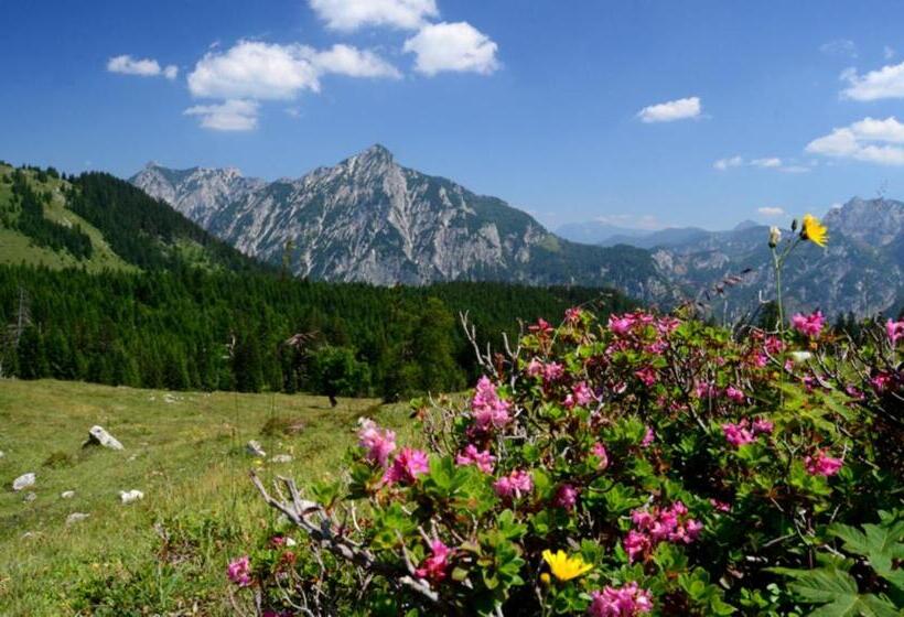 Alpenapartments Unterschlag