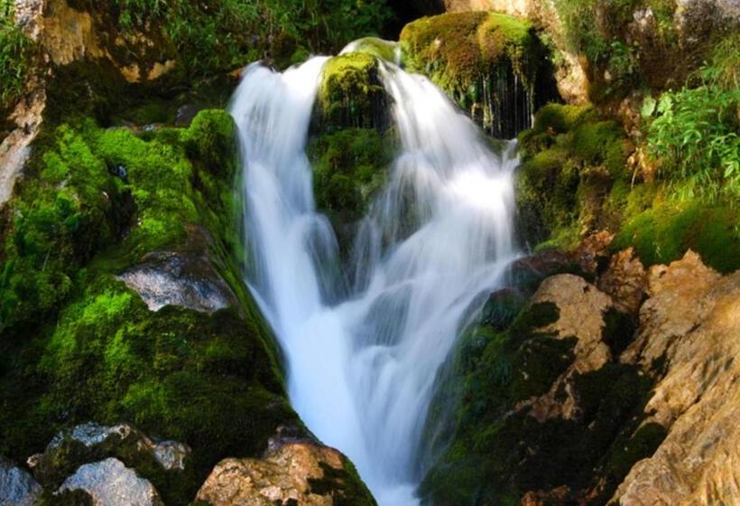 Alpenapartments Unterschlag