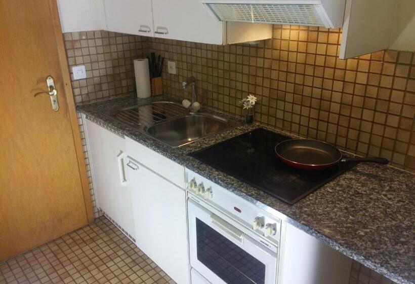 Appart'hôtel Residence Dizerens