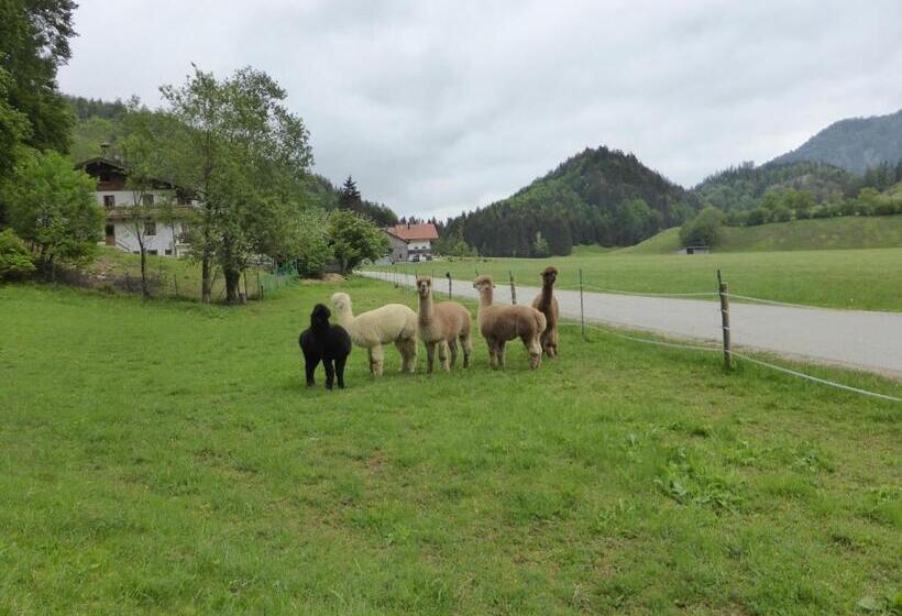 Gasthaus   Pension   Café Dörfl