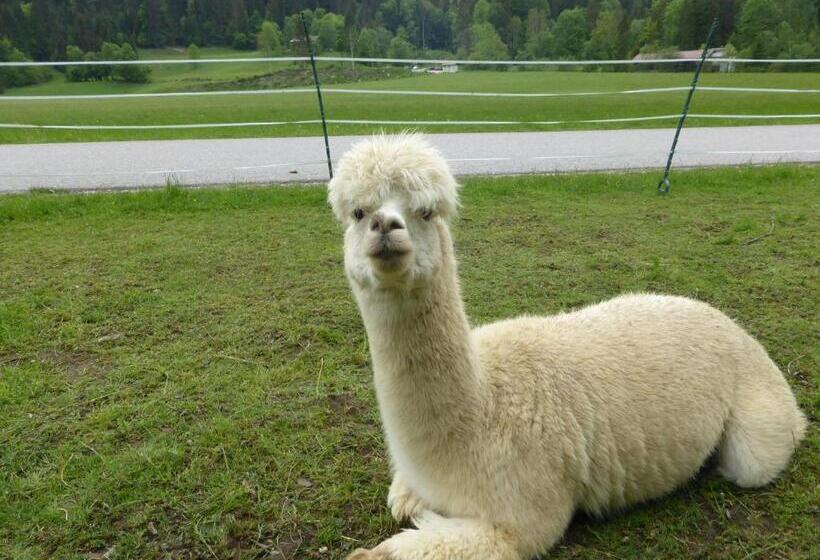 Gasthaus   Pension   Café Dörfl