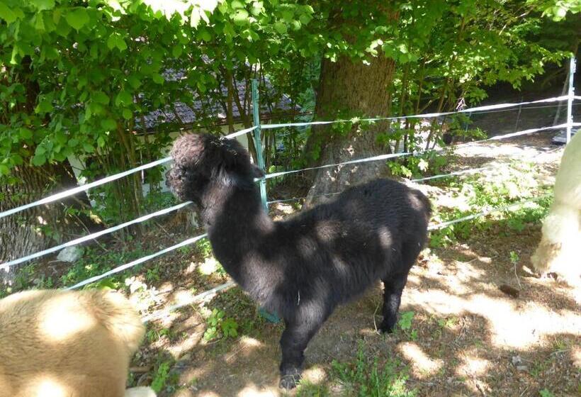 Gasthaus   Pension   Café Dörfl