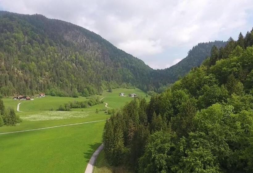 Gasthaus   Pension   Café Dörfl