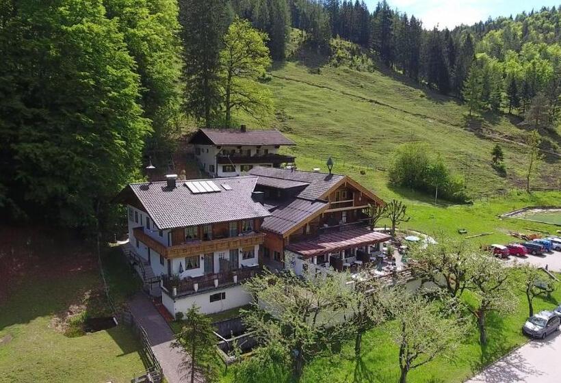 Gasthaus   Pension   Café Dörfl