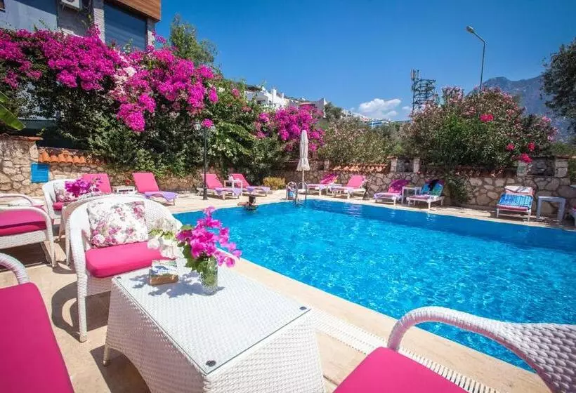 Papermoon Hotel & Apartments