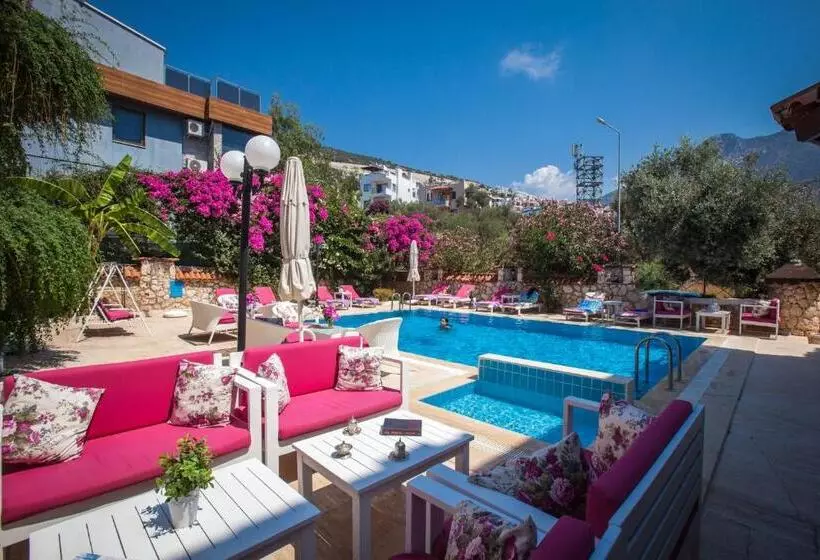 Papermoon Hotel & Apartments