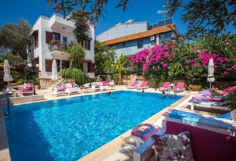 Papermoon Hotel & Apartments