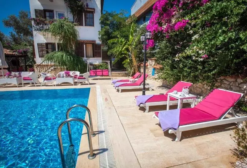 Papermoon Hotel & Apartments
