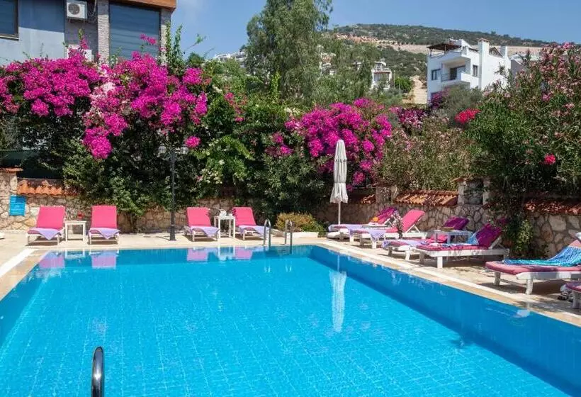 Papermoon Hotel & Apartments