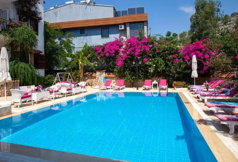 Papermoon Hotel & Apartments