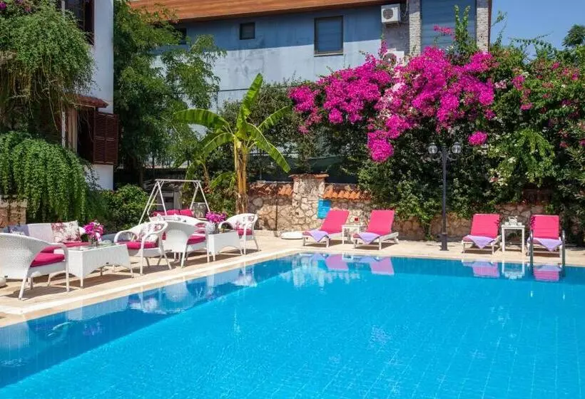 Papermoon Hotel & Apartments