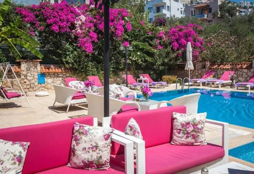 Papermoon Hotel & Apartments