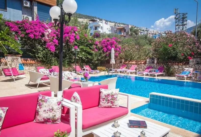 Papermoon Hotel & Apartments