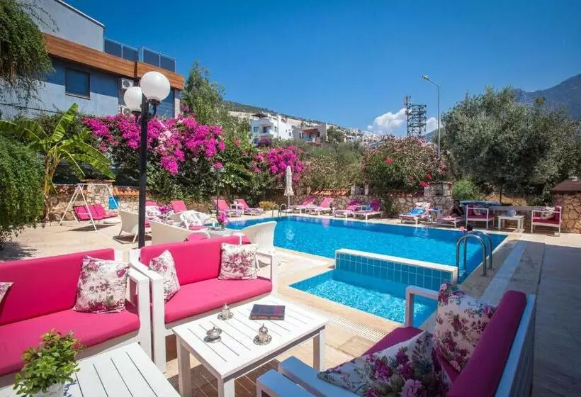 Papermoon Hotel & Apartments