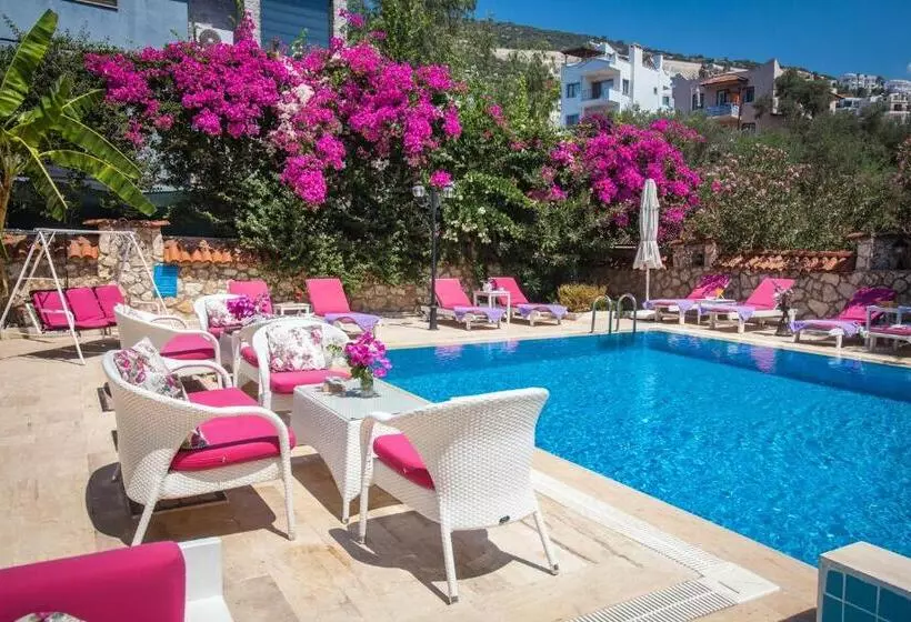 Papermoon Hotel & Apartments