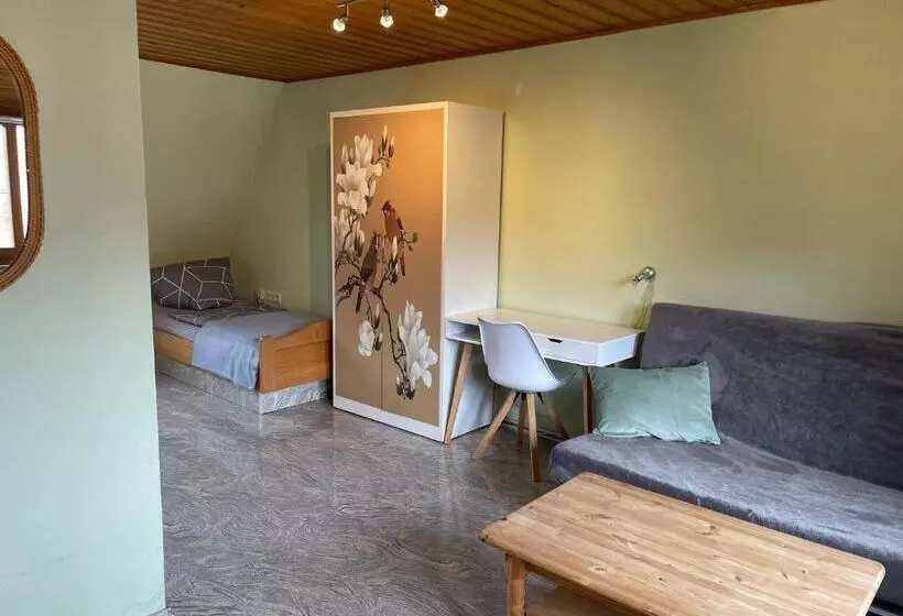 ペンション Ferienwohnungen Monteurzimmer Zur Silbernen Kanne