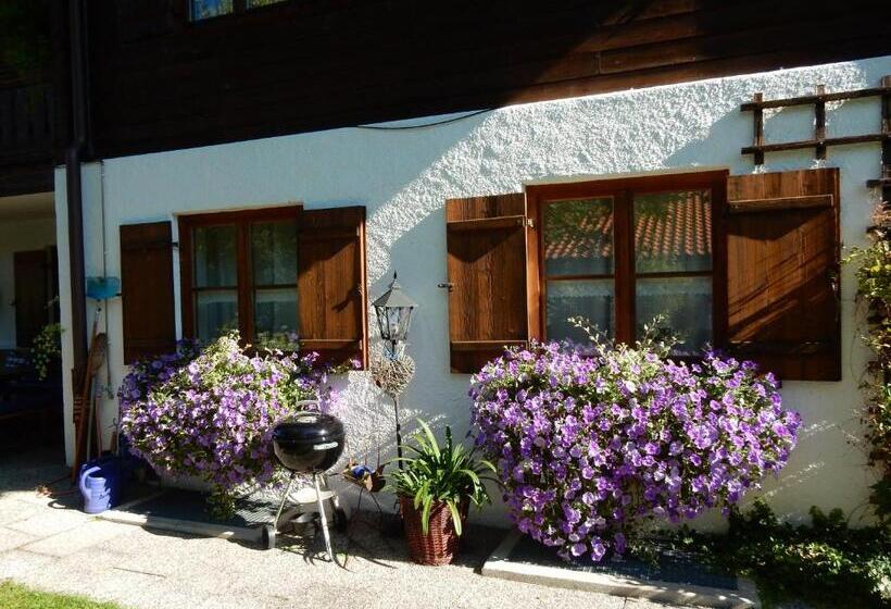 پانسیون Gästehaus Schönfeld