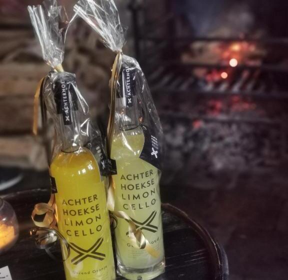 펜션 Herberg De Gouden Leeuw