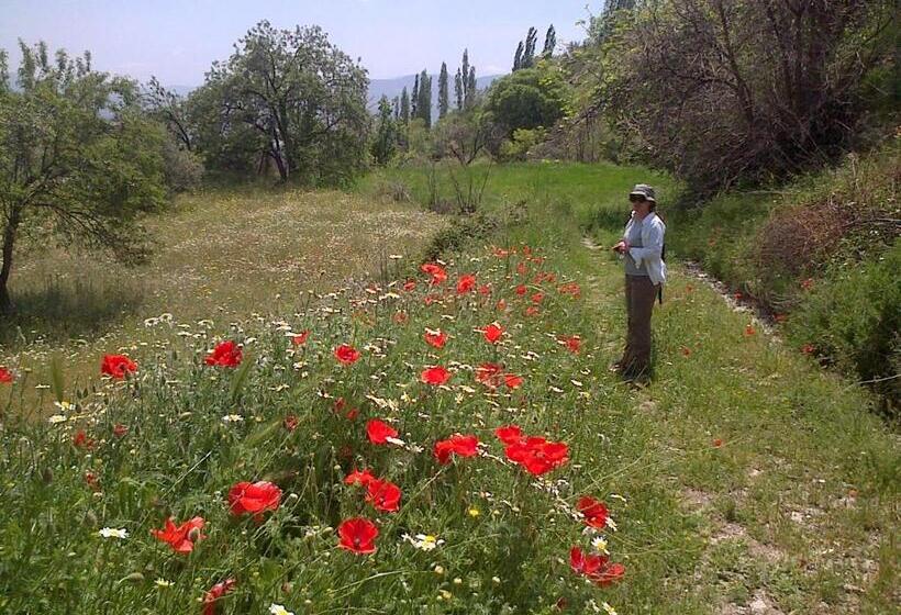 Пансион Las Chimeneas
