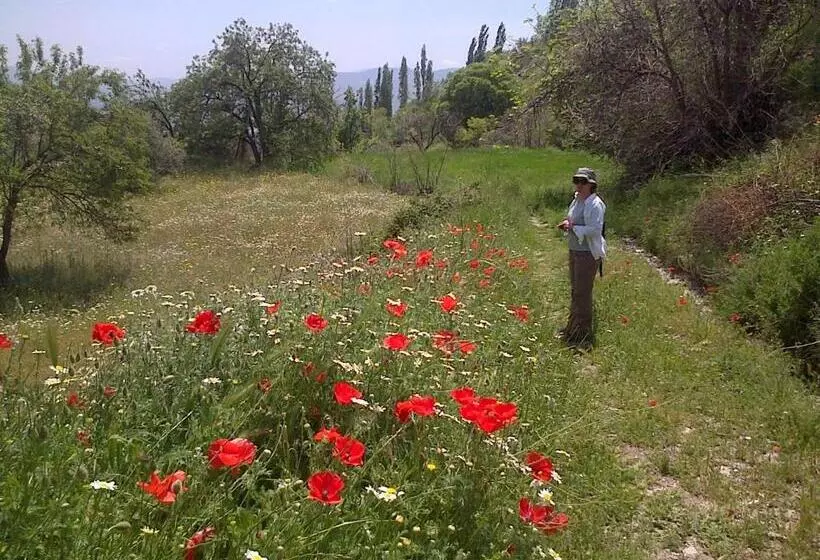 ペンション Las Chimeneas