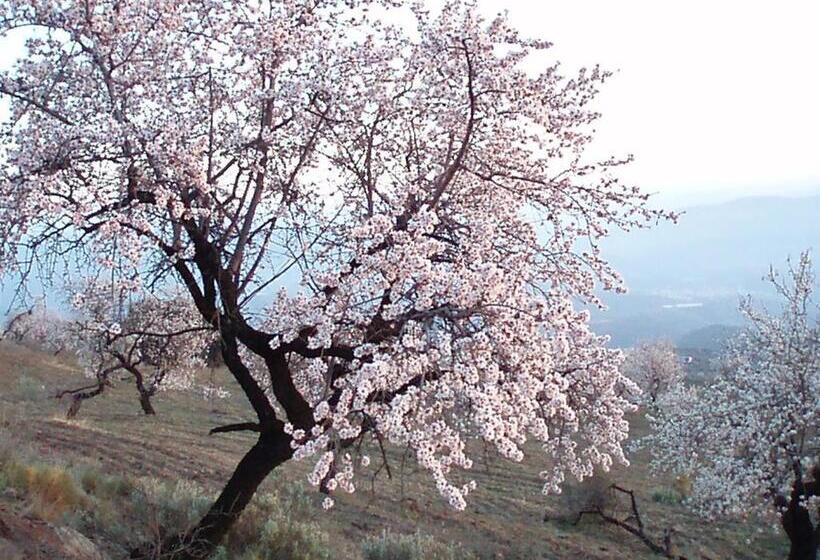 Пансион Las Chimeneas