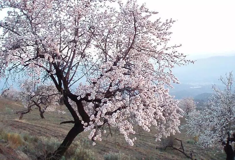 ペンション Las Chimeneas