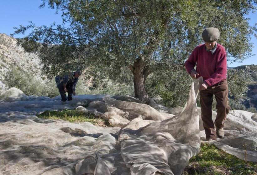 Пансион Las Chimeneas