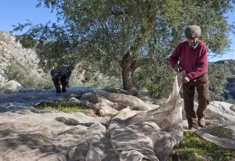 ペンション Las Chimeneas
