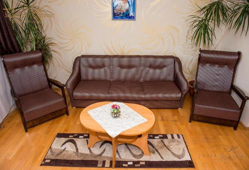 پانسیون Panoramic Cetatuie