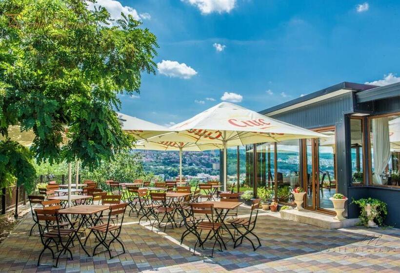 پانسیون Panoramic Cetatuie