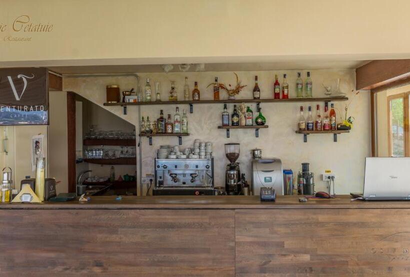 پانسیون Panoramic Cetatuie