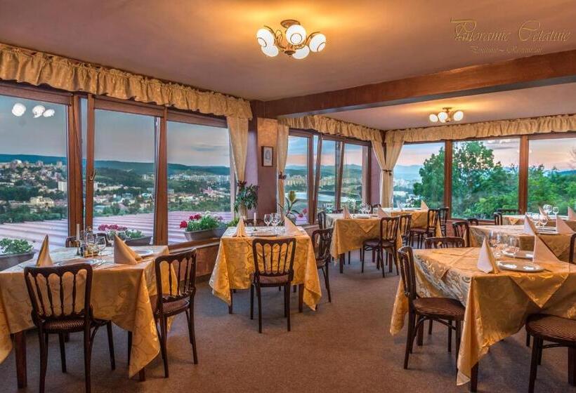 پانسیون Panoramic Cetatuie