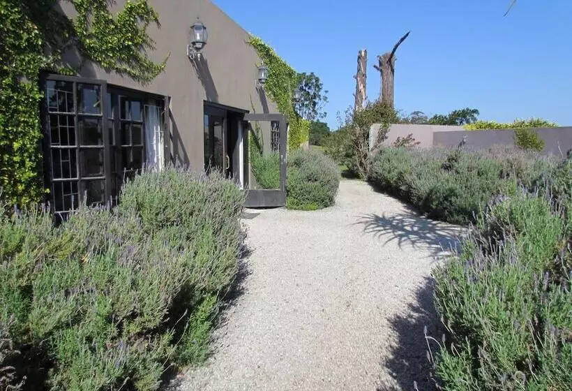 پانسیون Plett River Lodge