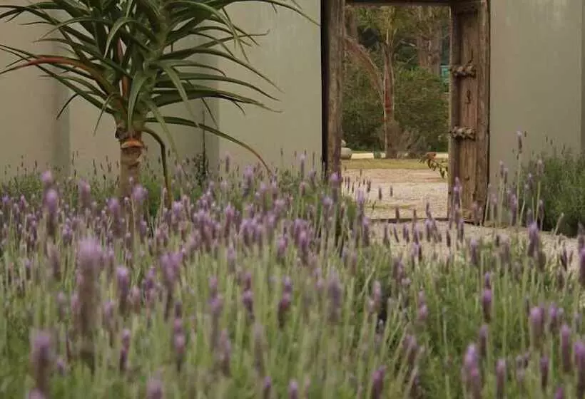 پانسیون Plett River Lodge