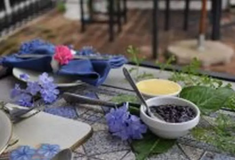پانسیون Plumbago Guest House