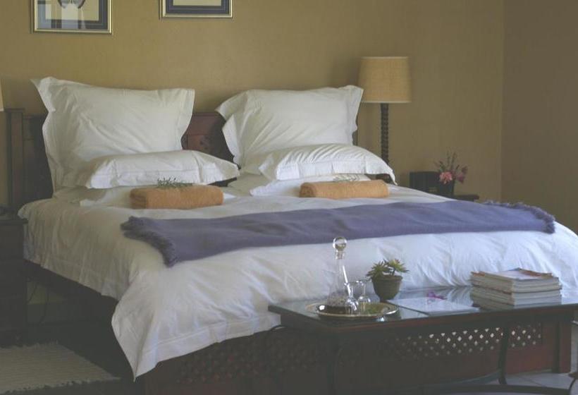 פנסיון Plumbago Guest House