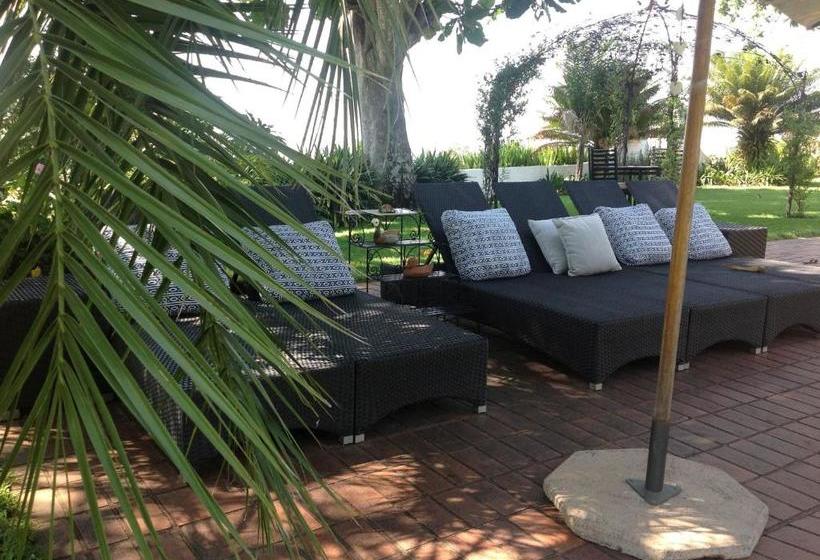 פנסיון Plumbago Guest House