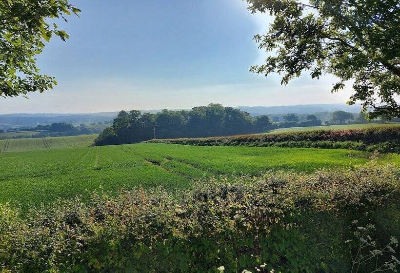 פנסיון The Bull's Head Inn