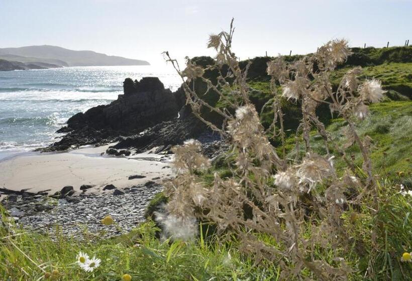 بنسيون The Ferry Boat