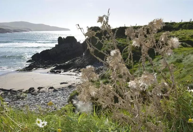 Majatalo The Ferry Boat