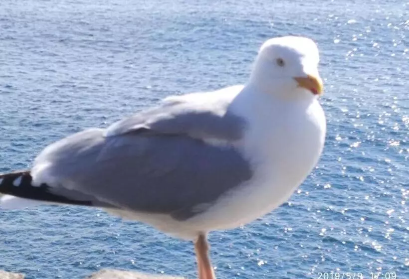 Majatalo The Ferry Boat