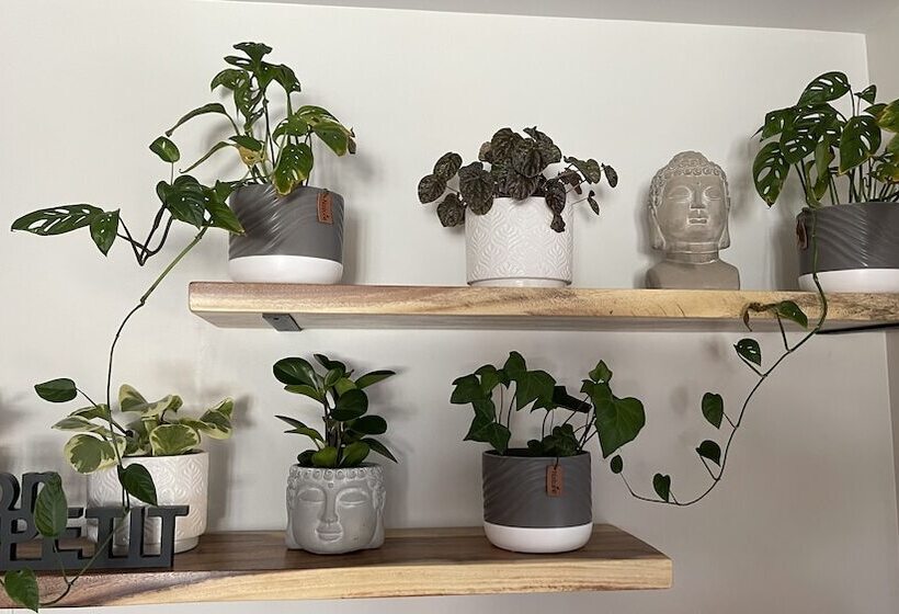 مبيت وإفطار Le Pimbina