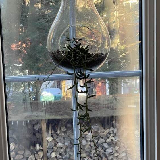 مبيت وإفطار Le Pimbina