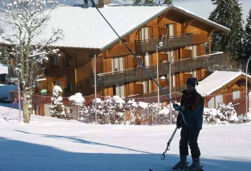 Chalet Gabriel