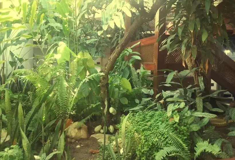 ペンション Casa Blanca Porto Seguro