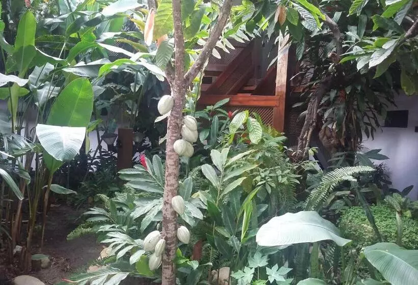 ペンション Casa Blanca Porto Seguro