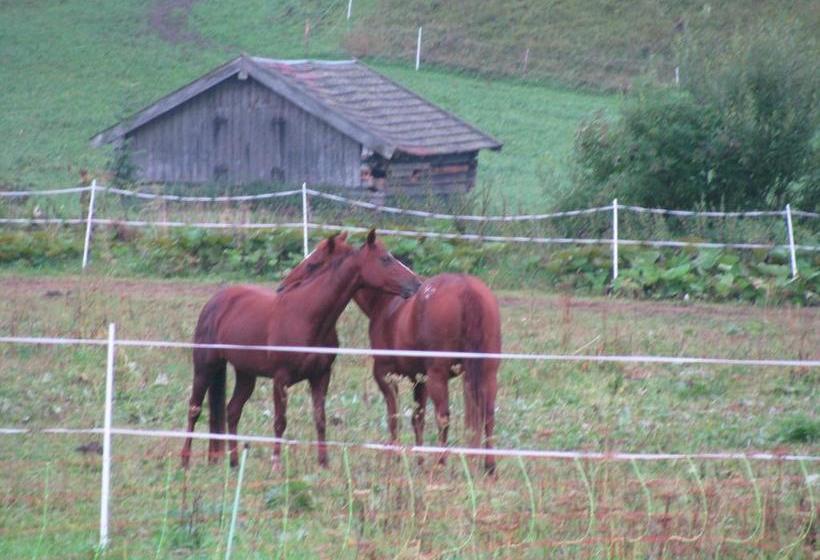 Pensão Gästehaus Brandnerhof
