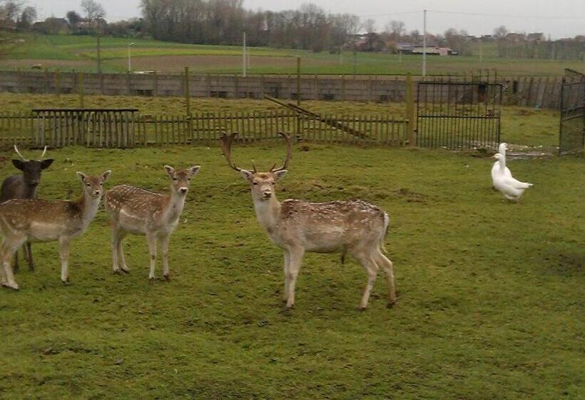 پانسیون Johan's Lodge